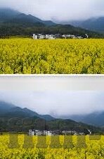 91大象传媒橘子-91大象传媒与橘子的意外交汇，网络文化与创意的奇妙融合